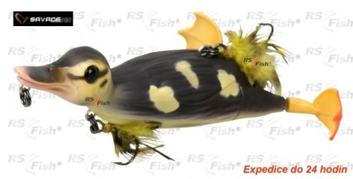 2c069c11292fe57a7fac29800426443d