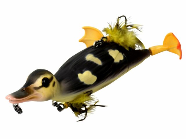 b855ddfd08cee25180535fd774ebf778