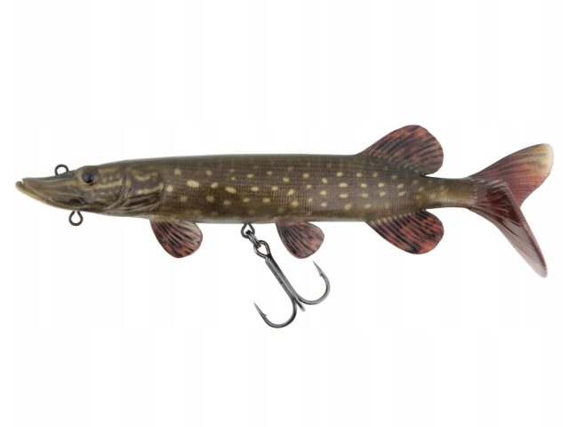 e12cad993734d178ca5e14fa3d344491