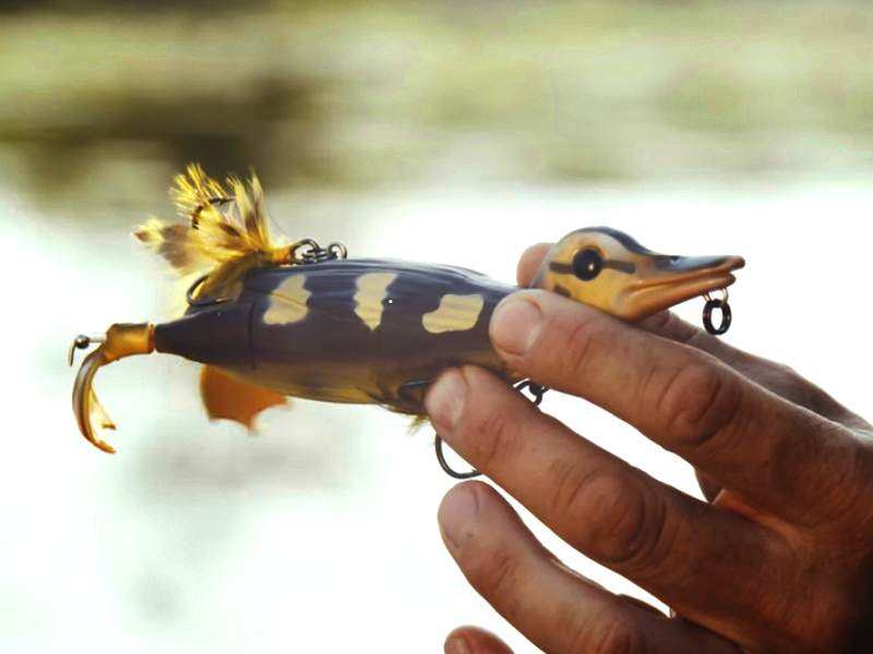 883ef32b9a43ae1482fd961180ffbd8d