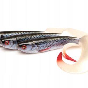 b5c65890a8a5af42aaff947315fae069