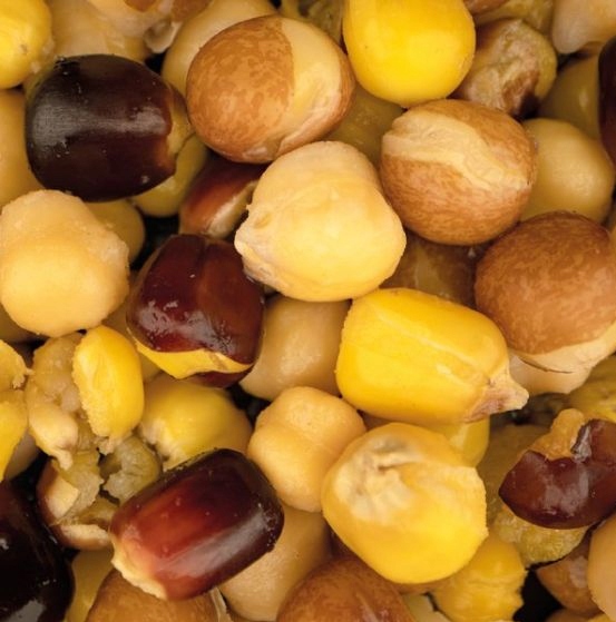 dccbd698d161a77d97d3c0ec3aa30ac4