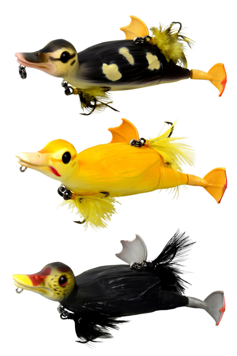 fbe25910bfe80b07150fc99495e4d34f