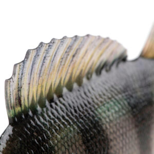 e42479e953cf3d854f8010fb8b2abf0d