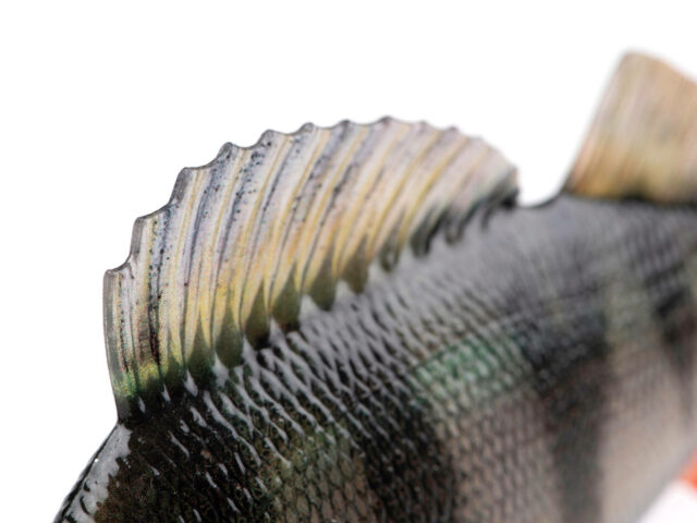 e42479e953cf3d854f8010fb8b2abf0d